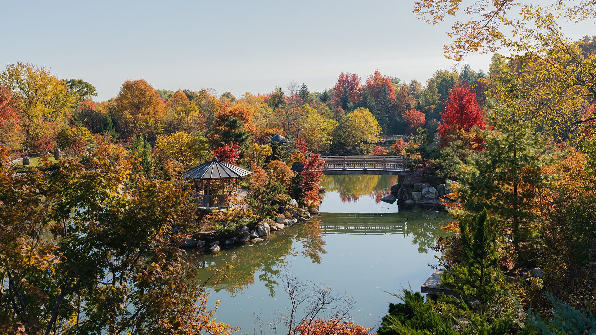 Grand Rapids fall scenery