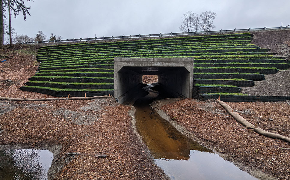 Rectangle Shine Clearing the Way: Massive Precast Culvert Restores Fish Passage in ...