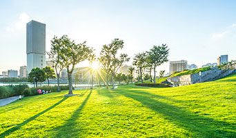 Sun shining on a grassy area with a city skyline in the background